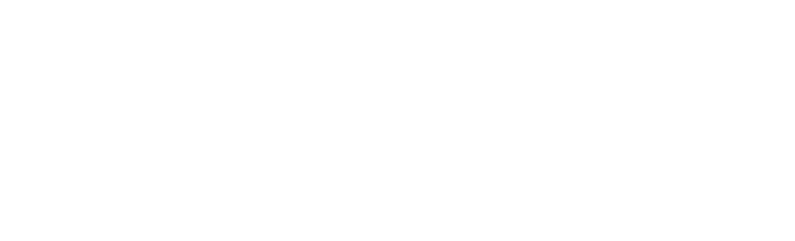 BTW-LOGO-b